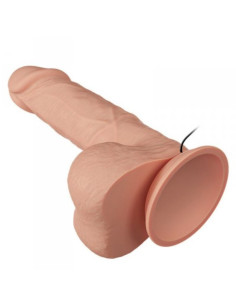 BAILE - GRAŽUS SUSITIKIMAS SU BAHAMUT VIBRACIJA 21,8 CM NATŪRALUS 2