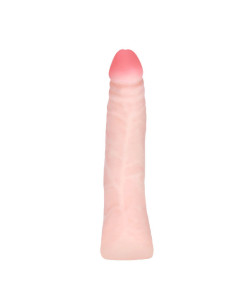 BAILE - REALISTINIS ODĄ LYTINTIS SILIKONINIS DILDO 19 CM ATSITIKTINĖ DĖŽUTĖS SPALVA 2