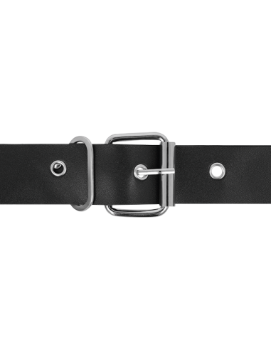 HARNESS ATTRACTION - RNES TAYLOR DELUXE 18 CM -O- 4,5 CM