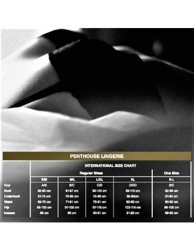 PENTHOUSE - ADORE ME PANTIES BLACK L-XL