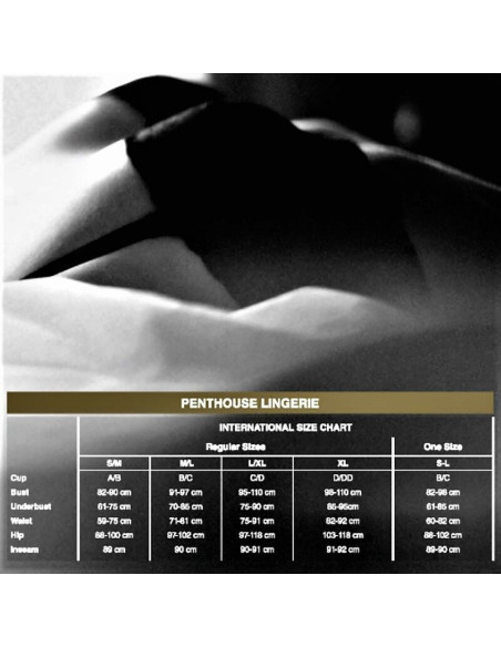 PENTHOUSE - ADORE ME PANTIES BLACK L-XL
