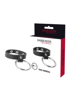 DARKNESS - METAL RING FOR THE PENIS AND TESTICLES
